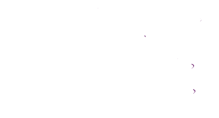  The Context of Organizational Culture 
Gender~Link 
What’s in Your Cultural Briefcase?
What’s in Your Cultural Backpack?